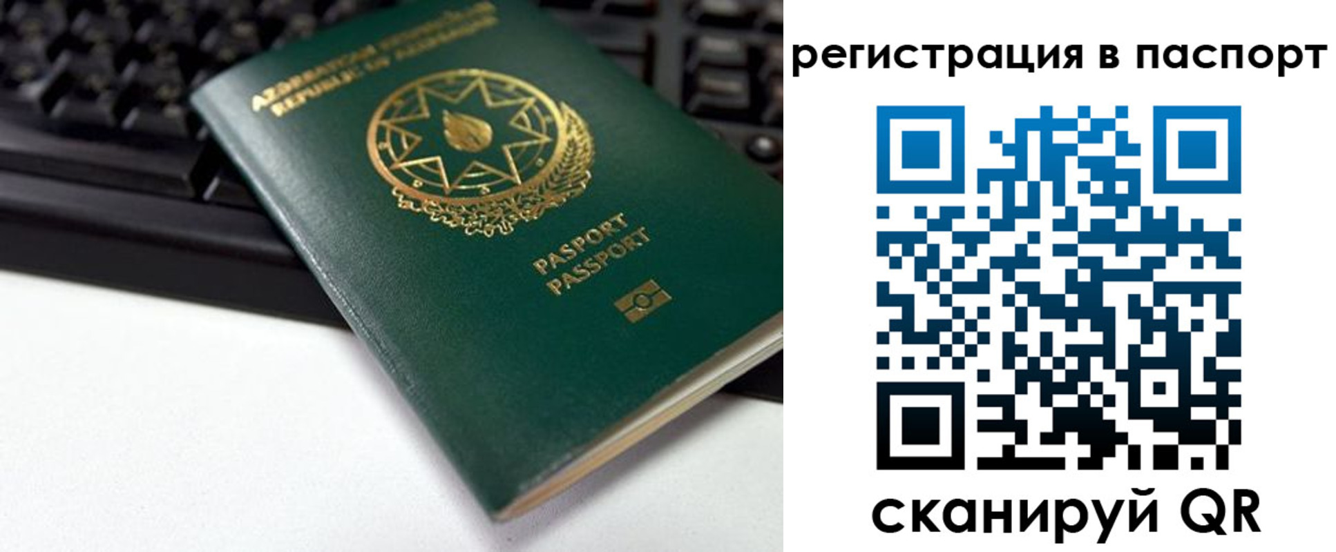 временная регистрация для всех в Волосово